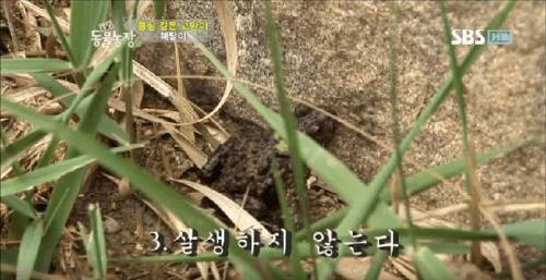 석가모니 빙의.jpg
