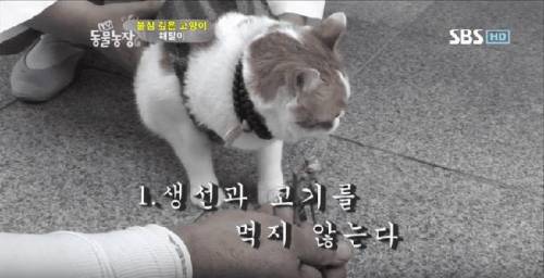 석가모니 빙의.jpg