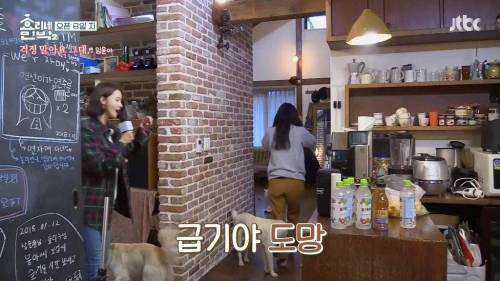 폭주하는 윤아.jpg