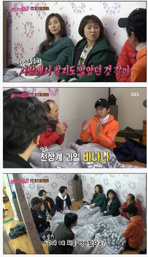 바나나가 흔해진 이유.jpg