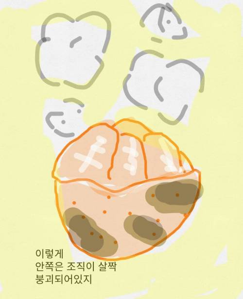귤 구워먹는 만화.gif