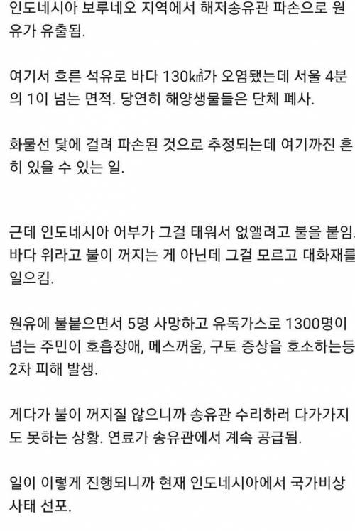 황당한 인도네시아 원유 유출 사고.jpg