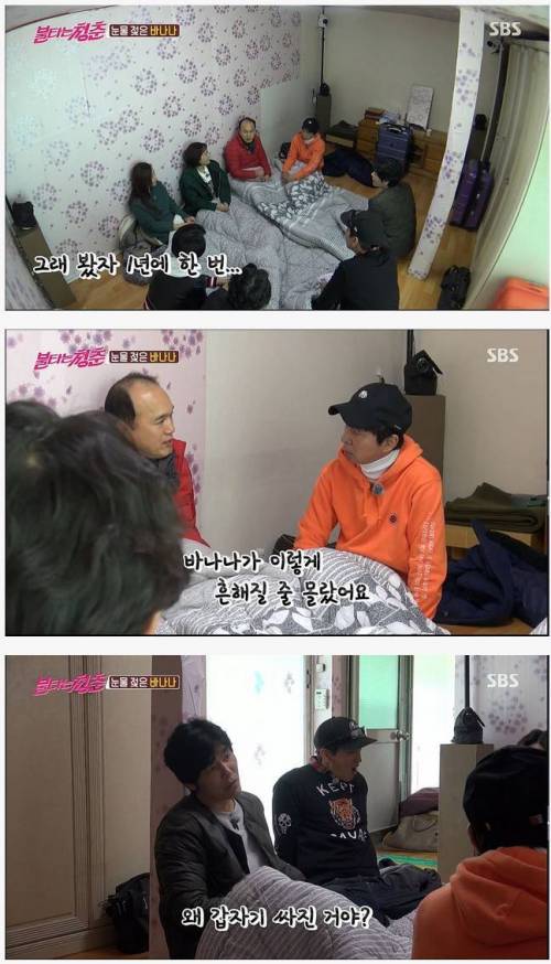 바나나가 흔해진 이유.jpg