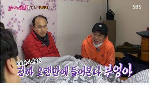 바나나가 흔해진 이유.jpg