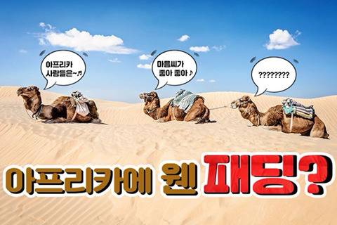 아프리카에 웬 패딩??