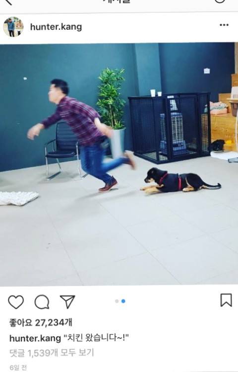 치킨 왔단 소리에 달려 나가는 댕댕이.jpg