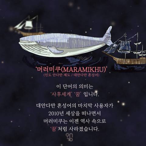 세계에서 딱 10명만 쓰는 단어.jpg