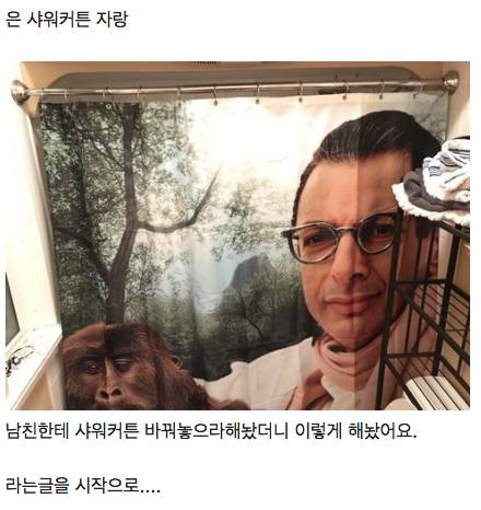 외국 커뮤니티에서 근본없이 유행하는 커튼 자랑