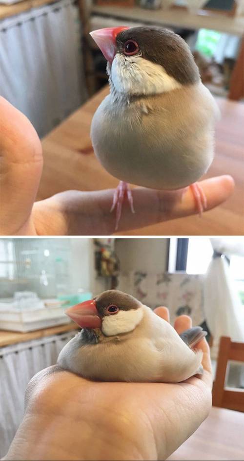 녹아내린 동물들.jpg