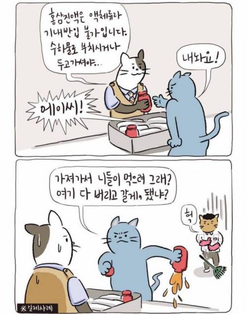 공항직원이 겪는 일들.jpg