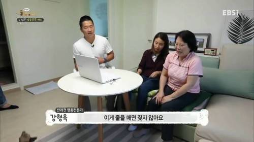 엄청나게 짖어대는 강아지 문제 쉽게 해결