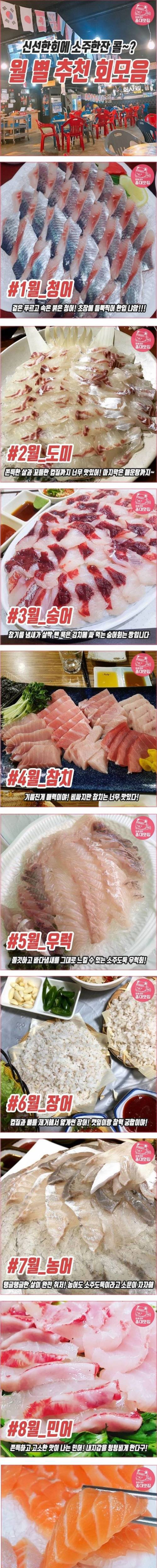 월별 먹기 좋은 회.jpg