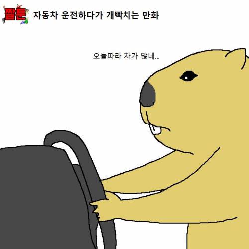 자동차 운전하다가 개빡치는 만화.jpg