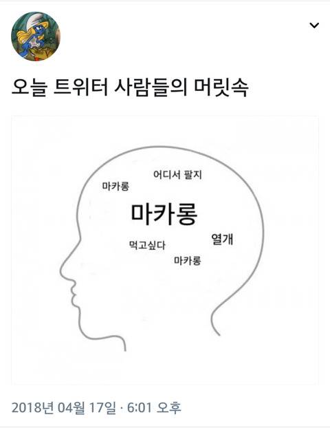 마카롱 대란 기념 트위터.jpg