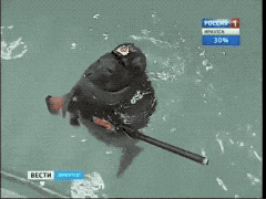 해병 물개.gif