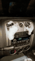 세차 대참사.gif