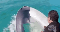 미국 홈쇼핑 1위 하던 테이프 근황.gif