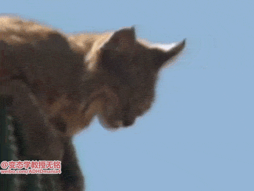 해탈의 경지.gif