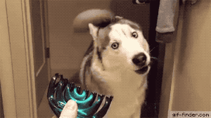 일단 그거 내려놓고 얘기하자.gif