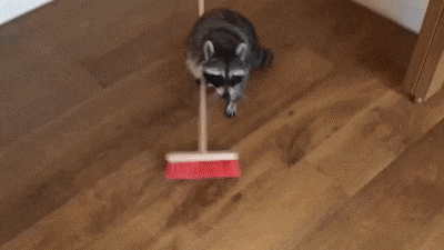드디어 월급 날이다.gif