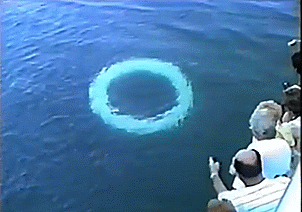 흑고래의 공기방울.gif
