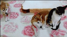 MT 갔을 때 모습.gif