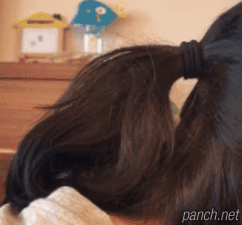 흔한 새둥지.gif