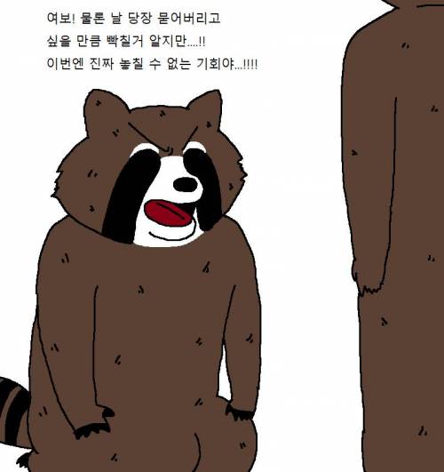 너구리가 가상화폐에 또 투자하는 만화.jpg