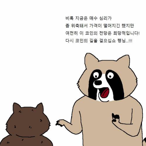 너구리가 가상화폐에 또 투자하는 만화.jpg