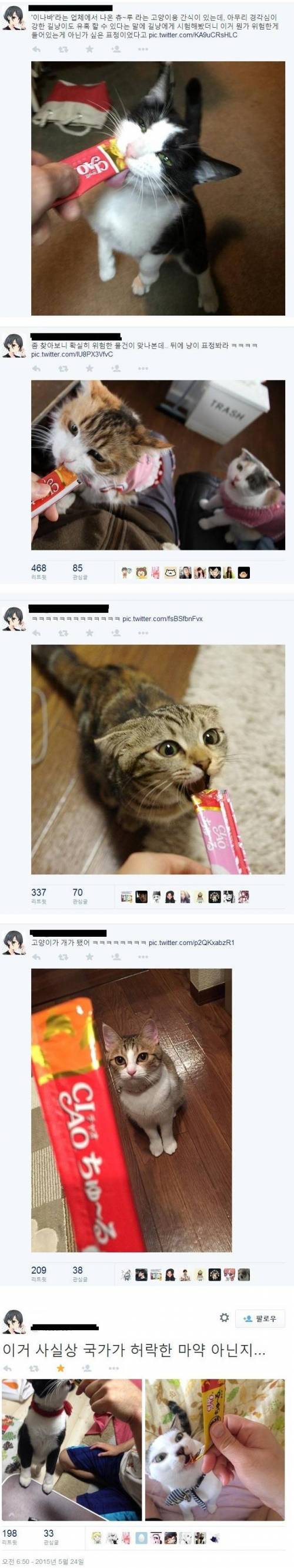 고양이용 마약.jpg