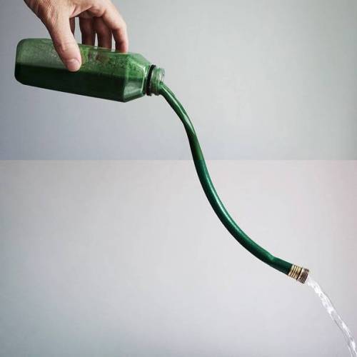 기발한 두컷 합성 사진.jpg