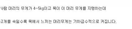 자세에 따른 목과 디스크의 압력.jpg