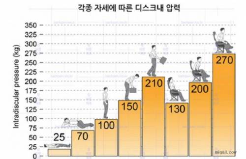 자세에 따른 목과 디스크의 압력.jpg