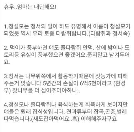 청설모의 출산.jpg