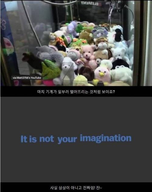 인형뽑기의 진실.jpg