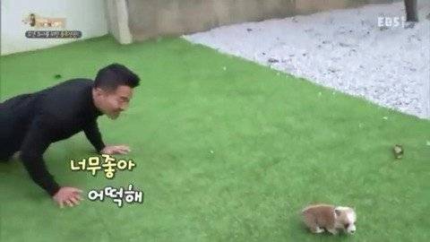 강형욱도 못버티고 쓰러진 순간.jpg