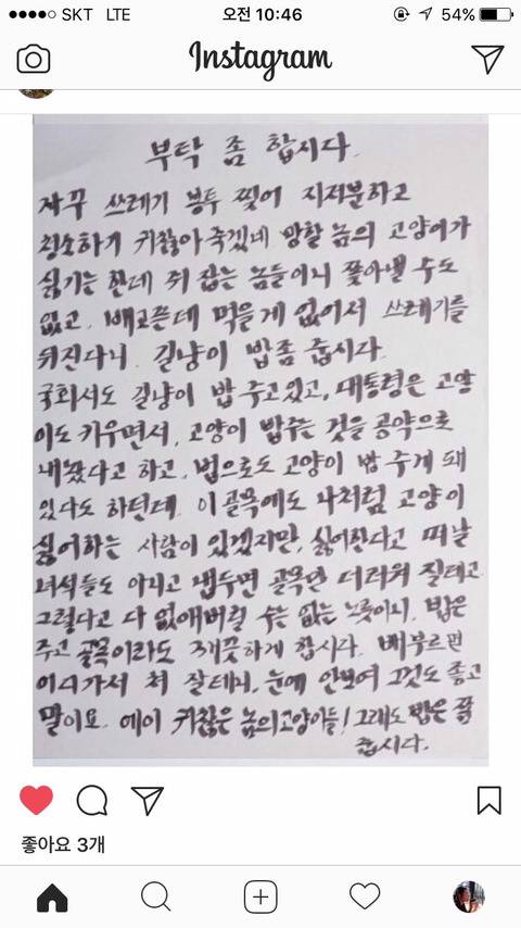 에잇 고양이들 쓰레기봉투나 찢고 귀찮아 죽겠네