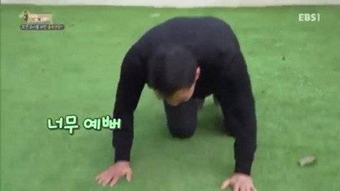 강형욱도 못버티고 쓰러진 순간.jpg