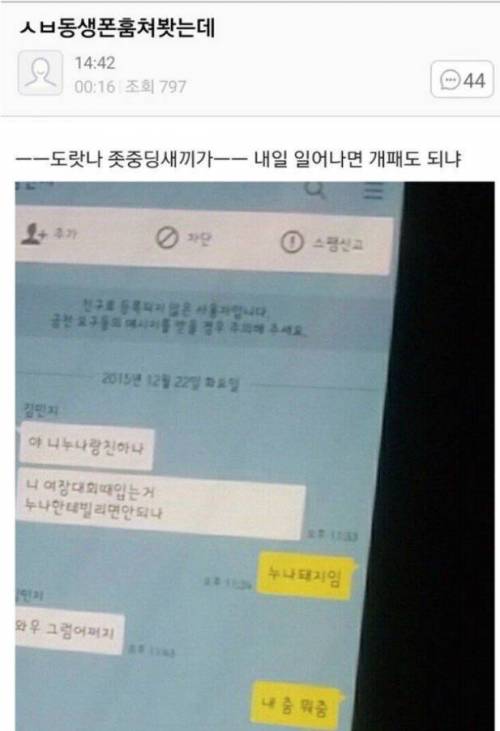 동생 카톡을 훔쳐본 누나.jpg