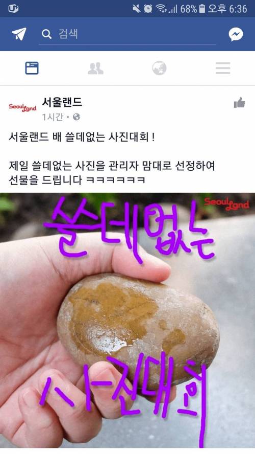 서울랜드배 쓸데없는 사진 올리기대회.jpg