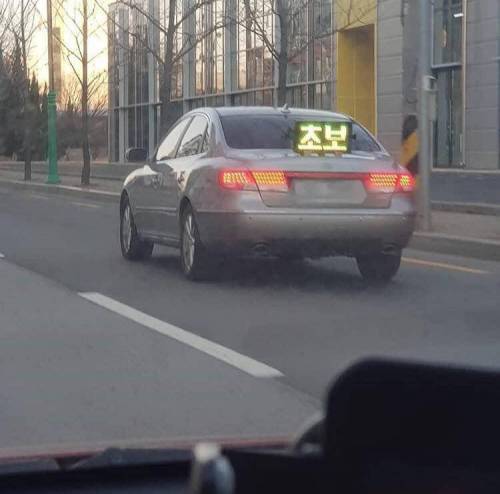 양보를 안할 수 없는 정성들인 초보.jpg