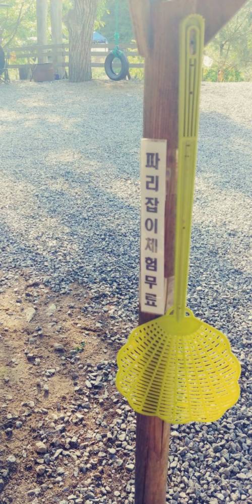 연천의 어느 글램핑장의 무료 곤충체험.jpg