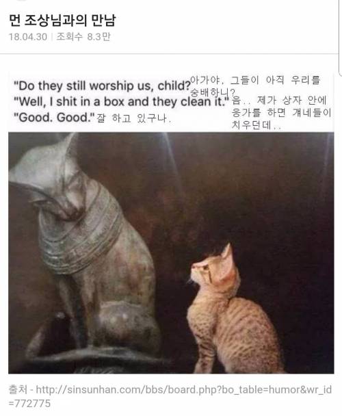 조상님과의 만남.jpg
