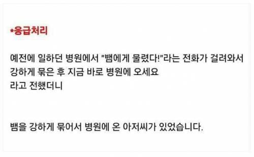 뱀에 물렸을때 응급처리법.jpg