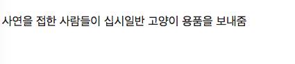 아기 고양이 17마리 키우게 생김.jpg