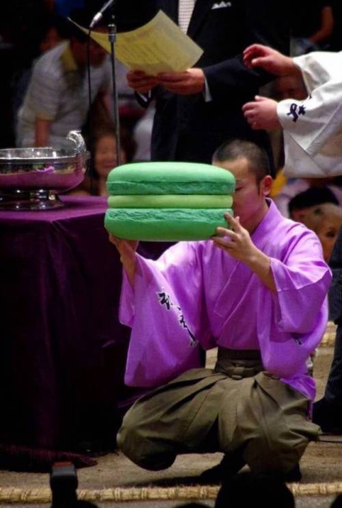 일본 스모대회 생각도 못한 우승 상품.jpg