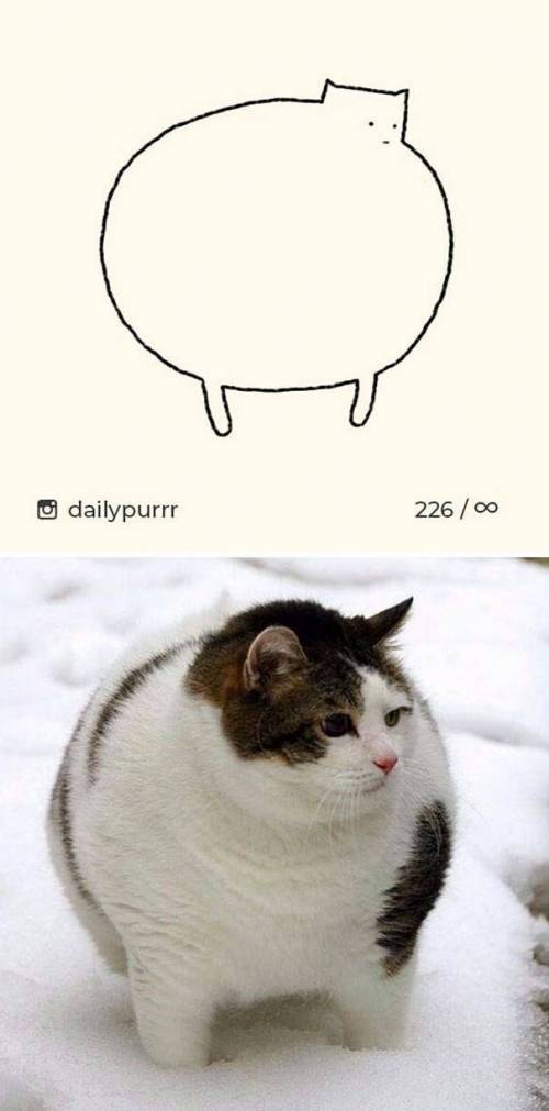 매우 사실적인 고양이 그림.jpg