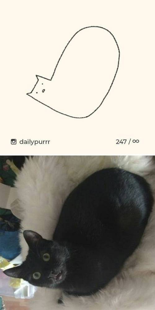 매우 사실적인 고양이 그림.jpg