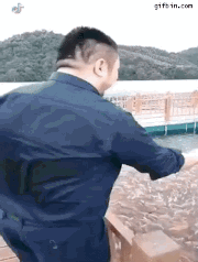 물고기 밥주기.gif