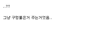 세계 도넛의 날, 버거킹 도넛 와퍼!.jpg